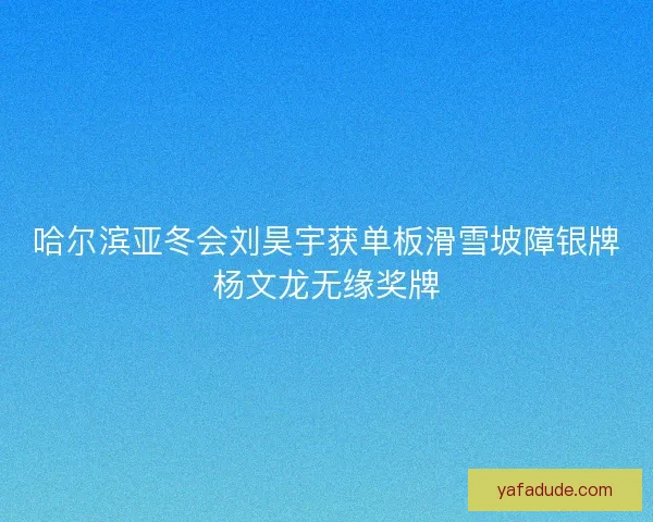哈尔滨亚冬会刘昊宇获单板滑雪坡障银牌杨文龙无缘奖牌